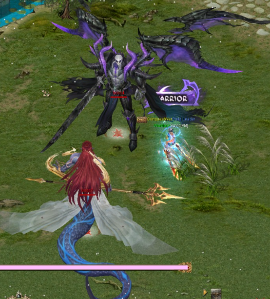 Extra Image 1